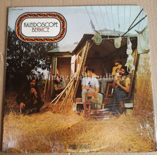 American Kaleidoscope