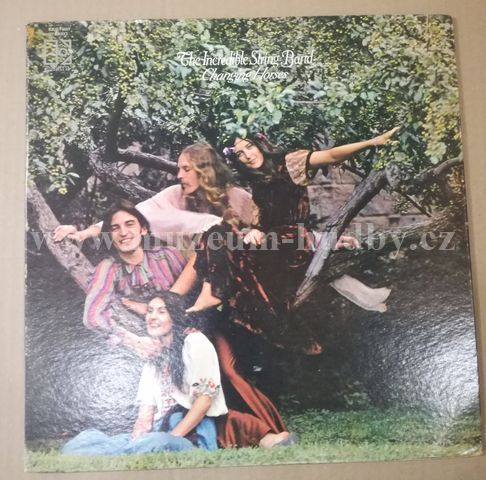 The Incredible String Band