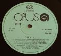 Corvina-Corvina