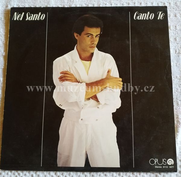 Nel Santo