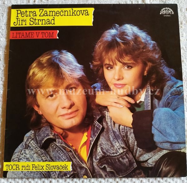 Petra Zámečníková, Jiří Strnad