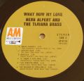 Herb Alpert & The Tijuana Brass ‎-What Now My Love