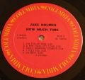 Jake Holmes-How Much Time