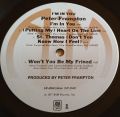 Peter Frampton-I'm In You