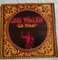 Joe Walsh-So What