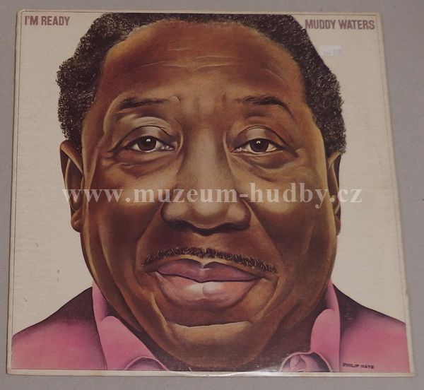 Muddy Waters