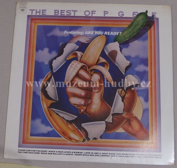 Pacific Gas And Electric