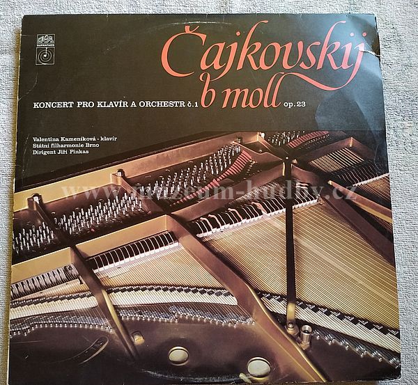 Čajkovskij, Valentina Kameníková, Státní Filharmonie Brno, Jiří Pinkas