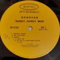 Donovan-The Hurdy Gurdy Man