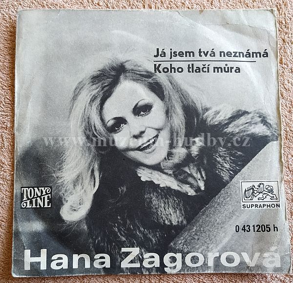 Hana Zagorová ‎