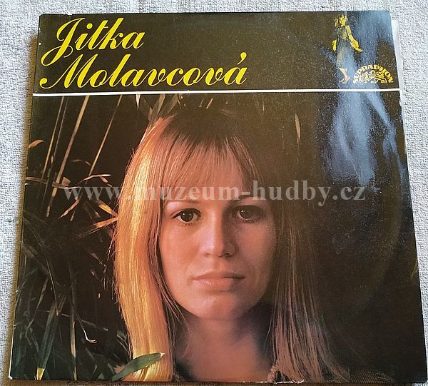 Jitka Molavcová