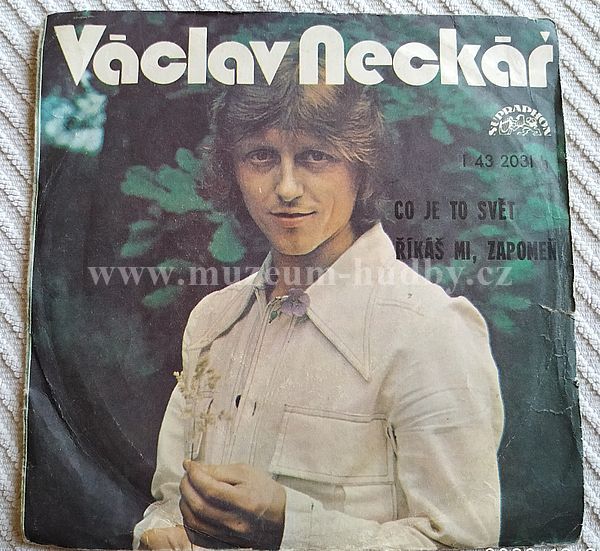 Václav Neckář