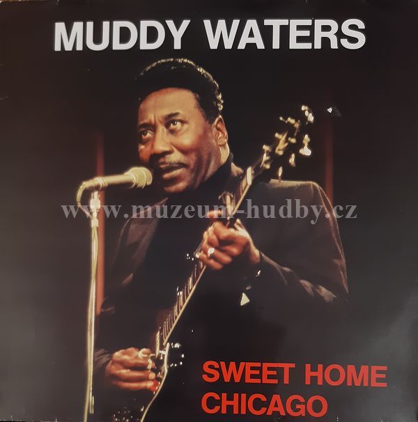 Muddy Waters