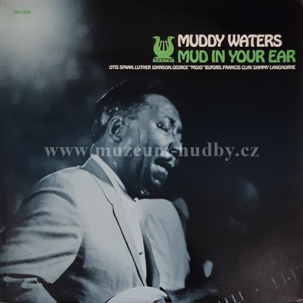 Muddy Waters