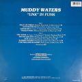 Muddy Waters-Unk In Funk