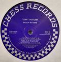 Muddy Waters-Unk In Funk