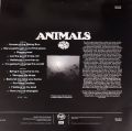 Animals-The Most Of