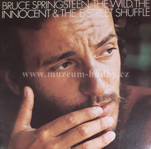 Bruce Springsteen