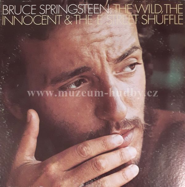 Bruce Springsteen