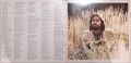 Dan Fogelberg-Phoenix