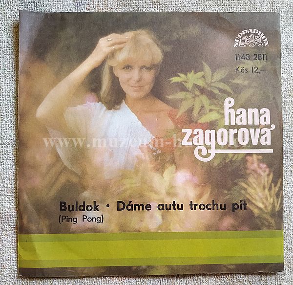 H. Zagorová, St. Hložek A P. Kotvald