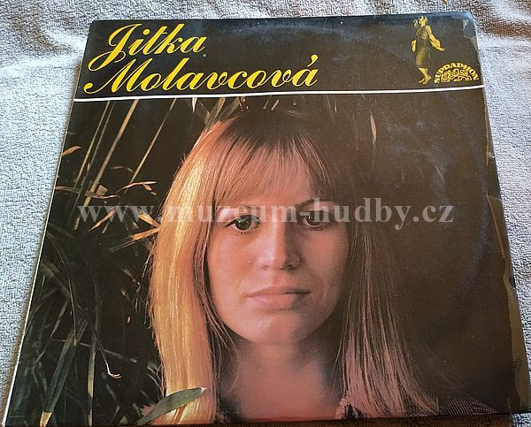 Jitka Molavcová