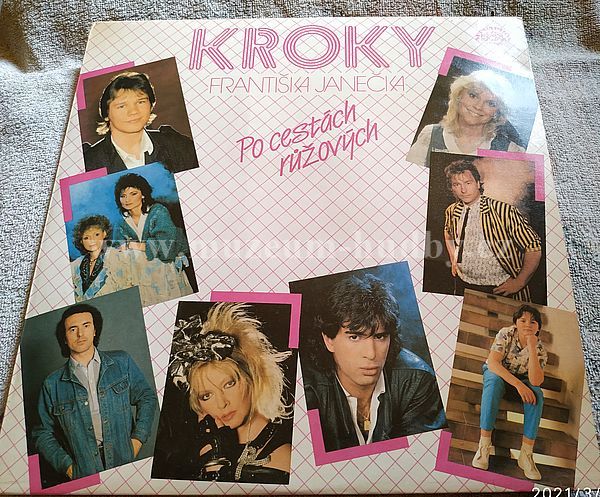 Kroky Františka Janečka