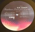 P.M. Dawn-Sometimes I Miss You So Much (Dedicated To The Christ Conciousness)