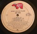 Bee Gees-Spirits Having Flown