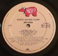 Bee Gees-Spirits Having Flown