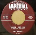Fats Domino-What Will I Tell My Heart / When I See You