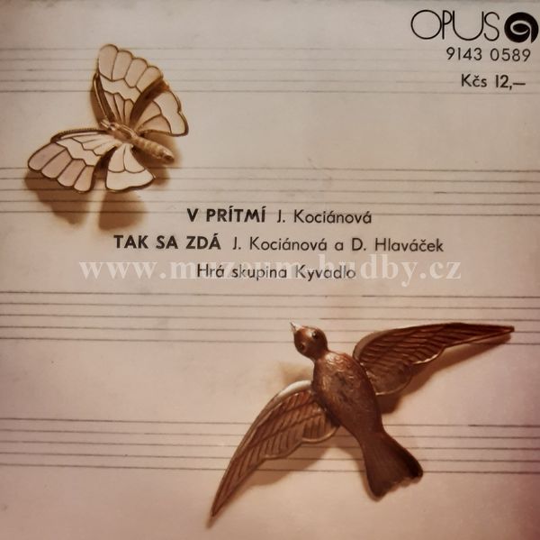 J. Kocianová A D. Hlaváček, Hrá Skupina Kyvadlo