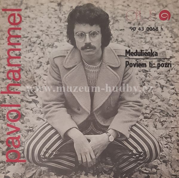 Pavol Hammel A Skupina Prúdy