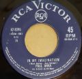 Paul Anka-In My Imagination / It's Easy To Say