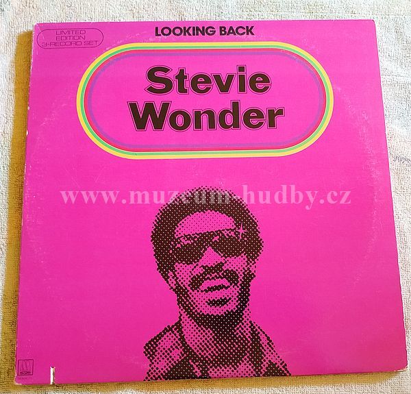 Stevie Wonder