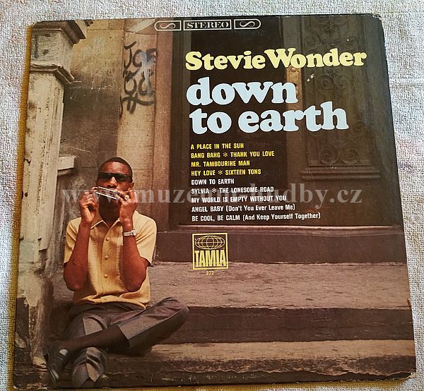 Stevie Wonder