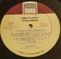 Stevie Wonder-Down To Earth
