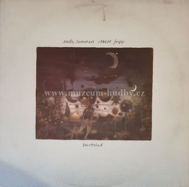 Andy Summers, Robert Fripp