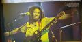 Bob Marley-The Bob Marley Memorial Album