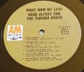 Herb Alpert & The Tijuana Brass-What Now My Love