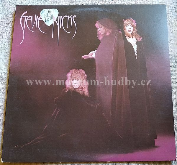 Stevie Nicks