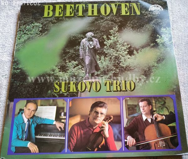 Sukovo Trio