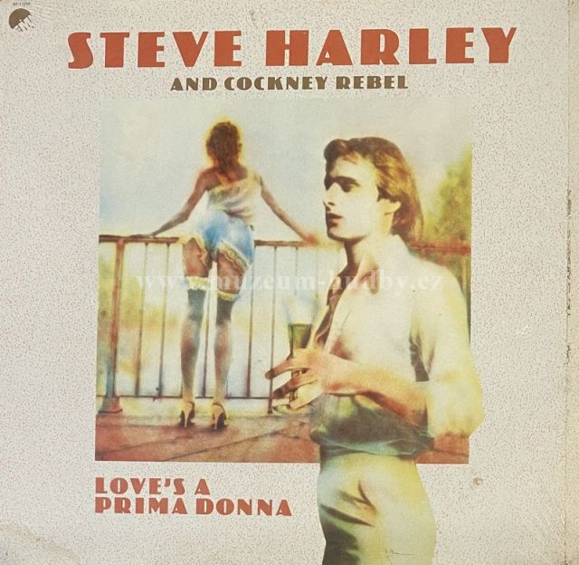 Steve Harley And Cockney Rebel