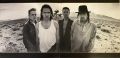U2-The Joshua Tree