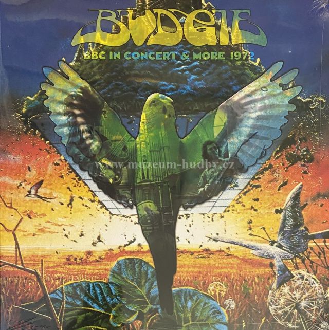 Budgie