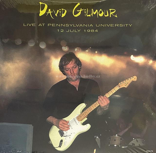 David Gilmour (Pink Floyd)