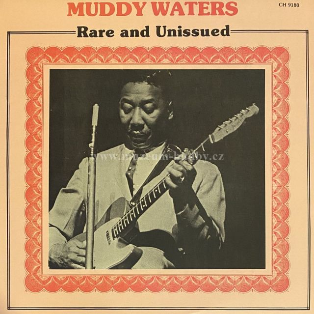 Muddy Waters