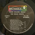 The Grass Roots-More Golden Grass