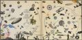 Led Zeppelin-Led Zeppelin III