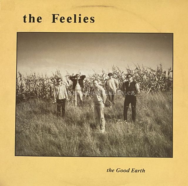 The Feelies
